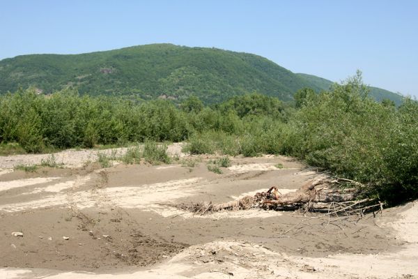 Vinogradiv - řeka Tisa, 29.4.2009
Bahnité a písčité náplavy Tisy o obce Vinogradiv. V pozadí masiv Čorne hory.
Mots-clés: Vinogradiv Tisa Čorna hora