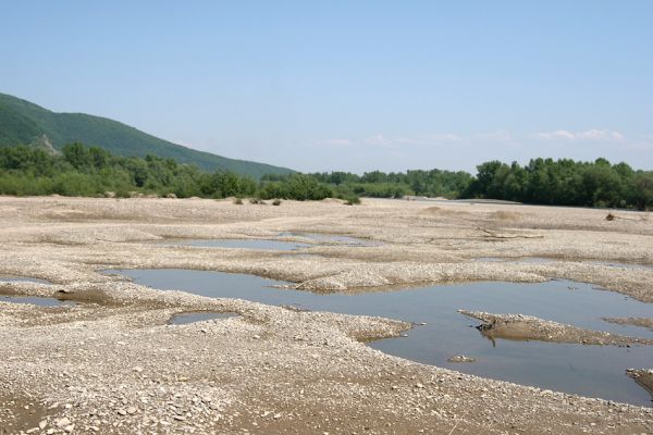 Vinogradiv - řeka Tisa, 29.4.2009
Rozsáhlá štěrkoviště Tisy o obce Vinogradiv. 
Schlüsselwörter: Vinogradiv Tisa