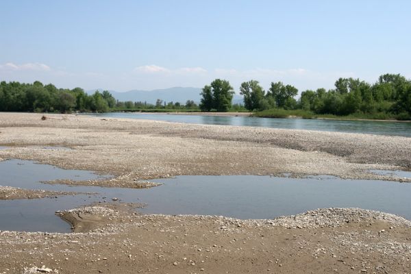 Vinogradiv - řeka Tisa, 29.4.2009
Rozsáhlá štěrkoviště Tisy o obce Vinogradiv. 
Klíčová slova: Vinogradiv Tisa