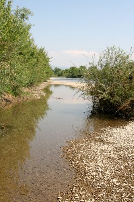 Vinogradiv - řeka Tisa, 29.4.2009
Mělké tůně v štěrkovišti Tisy u obce Vinogradiv.
Klíčová slova: Vinogradiv Tisa