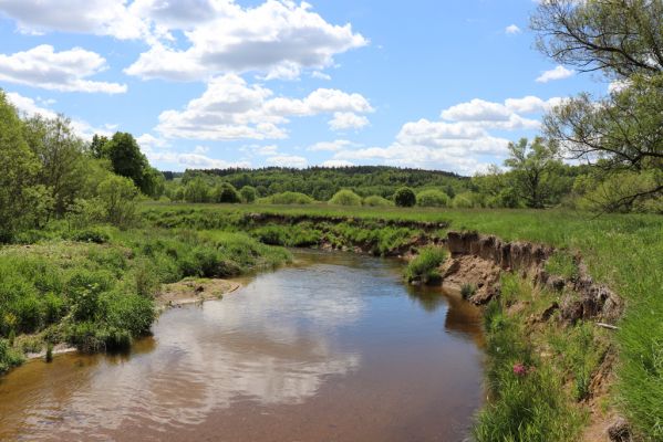 Višňová, 29.5.2020
Filipovka - meandry Smědé.
Mots-clés: Višňová Filipovka Smědá meandry Smědé