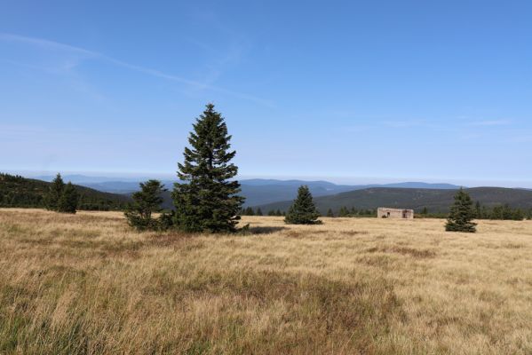 Vítkovice, 14.9.2020
Harrachova louka. Pohled na Jizerské hory.
Klíčová slova: Vítkovice Krkonoše Harrachova louka Jizerské hory