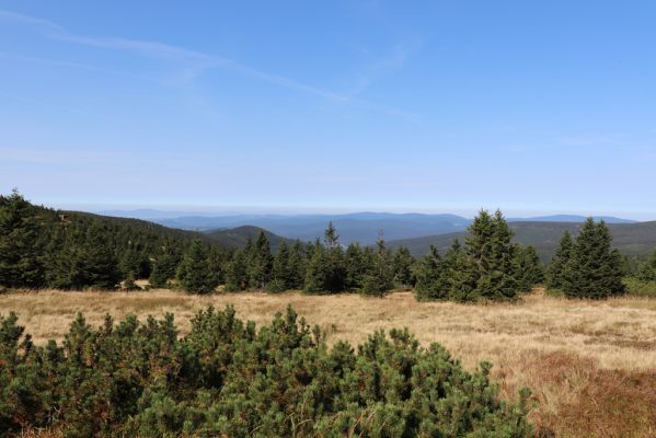 Vítkovice, 14.9.2020
Harrachova louka nad Českou cestou. Pohled na Jizerské hory.
Klíčová slova: Vítkovice Krkonoše Harrachova louka Jizerské hory