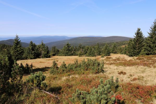 Rokytnice nad Jizerou, 14.9.2020
Pramenná oblast Velké Mumlavy U Čtyř pánů.
Klíčová slova: Rokytnice nad Jizerou Krkonoše Velká Mumlava U Čtyř pánů