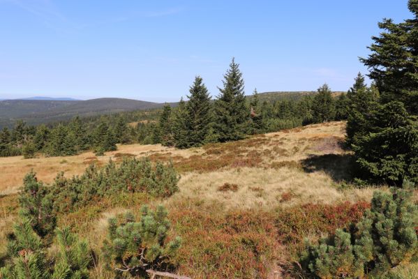 Rokytnice nad Jizerou, 14.9.2020
Pramenná oblast Velké Mumlavy U Čtyř pánů.
Klíčová slova: Rokytnice nad Jizerou Krkonoše Velká Mumlava U Čtyř pánů