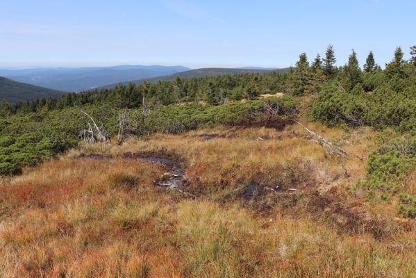 Rokytnice nad Jizerou, 14.9.2020
Pramenná oblast Velké Mumlavy U Čtyř pánů.
Mots-clés: Rokytnice nad Jizerou Krkonoše Velká Mumlava U Čtyř pánů