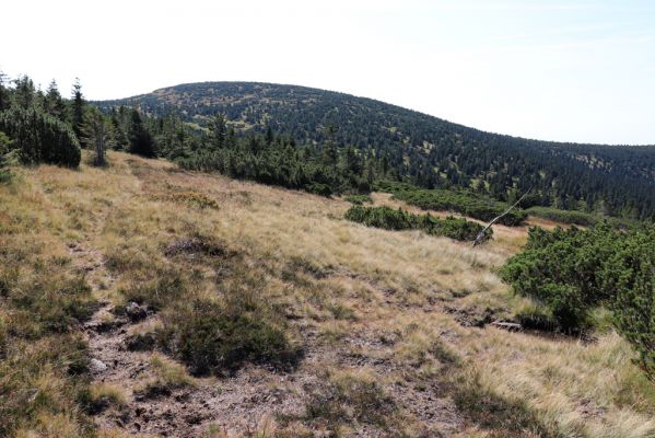 Rokytnice nad Jizerou, 14.9.2020
Pramenná oblast Velké Mumlavy U Čtyř pánů. Pohled na Kotel.
Mots-clés: Rokytnice nad Jizerou Krkonoše Velká Mumlava U Čtyř pánů Kotel