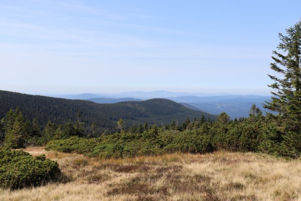 Rokytnice nad Jizerou, 14.9.2020
Pramenná oblast Velké Mumlavy U Čtyř pánů. Pohled na Plešivec.
Klíčová slova: Rokytnice nad Jizerou Krkonoše Velká Mumlava U Čtyř pánů Plešivec