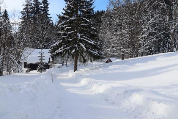 Vítkovice, 1.2.2021
Dolní Mísečky.
Klíčová slova: Vítkovice Dolní Mísečky