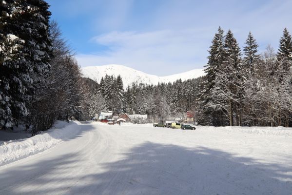 Vítkovice, 1.2.2021
Dolní Mísečky.
Schlüsselwörter: Vítkovice Dolní Mísečky