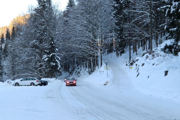 Vítkovice, 1.2.2021
Vítkovice - škola. 
Klíčová slova: Vítkovice škola Phloeostichus denticollis