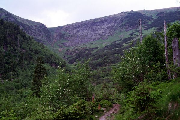 Krkonoše, Velká Kotelní jáma, 2.6.2003
Lavinový svah.

Keywords: Vítkovice Krkonoše Velká Kotelní jáma