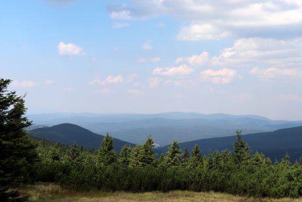 Vítkovice, 8.8.2020
Krkonoše - prameniště nad Velkou Mumlavou. Pohled na Plešivec a Jizerské hory.
Klíčová slova: Vítkovice Krkonoše prameny Velké Mumlavy Plešivec jizerské hory