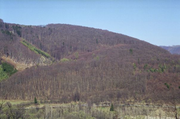 Brumov-Bylnice, 3.4.2002
Vlárský průsmyk, vrch Okrouhlá, Černý. Přirozené listnaté lesy jsou jedinou českou lokalitou kovaříka Ampedus hjorti.
Klíčová slova: Brumov-Bylnice Vlárský průsmyk vrch Okrouhlá Černý Ampedus hjorti