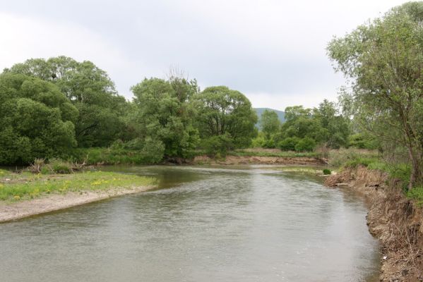 Voľa-Stankovce, 30.4.2014
Meandry Laborce.



Klíčová slova: Voľa Stankovce řeka Laborec