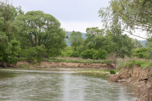 Voľa-Stankovce, 30.4.2014
Meandry Laborce.



Schlüsselwörter: Voľa Stankovce řeka Laborec