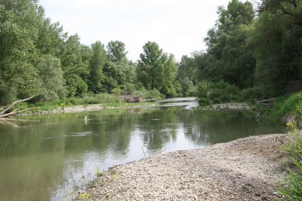 Voľa-Stankovce, 30.4.2014
Meandry Laborce.



Klíčová slova: Voľa Stankovce řeka Laborec