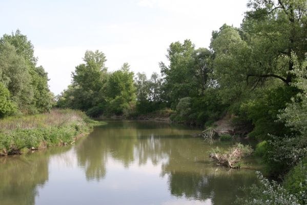 Voľa-Stankovce, 30.4.2014
Meandry Laborce.



Schlüsselwörter: Voľa Stankovce řeka Laborec