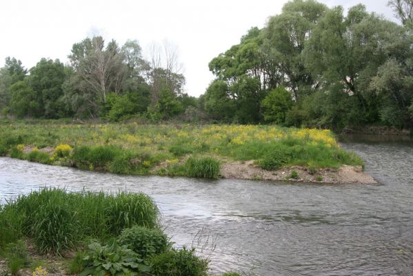 Voľa, 30.4.2014
Meandry Laborce.



Schlüsselwörter: Voľa řeka Laborec