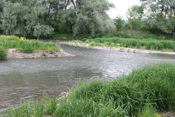 Voľa, 30.4.2014
Meandry Laborce.



Klíčová slova: Voľa řeka Laborec