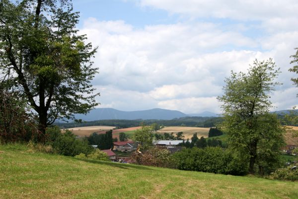 Volanov, 14.8.2009
Stará třešňovka nad Volanovem u cesty na Oblanov. Výskyt Anthaxia candens nezjištěn. V pozadí Krkonoše - Černá a Světlá hora.
Schlüsselwörter: Volanov Oblanov Krkonoše Černá hora