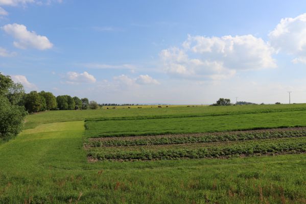 Voleč, 18.5.2019
Pohled na horní pastvinu.
Klíčová slova: Voleč horní pastvina