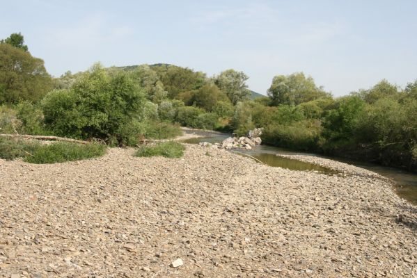 Volica - Čabiny, 5.7.2014
Meandry Laborce.



Klíčová slova: Volica Čabiny řeka Laborec