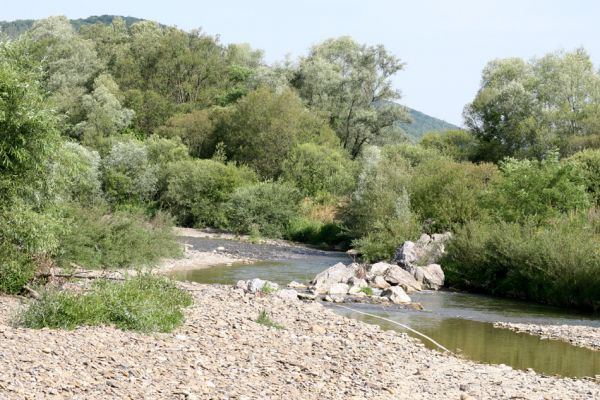 Volica - Čabiny, 5.7.2014
Meandry Laborce.
Klíčová slova: Volica Čabiny řeka Laborec