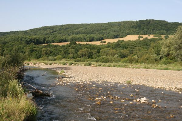 Volica, 5.7.2014
Meandry Laborce.



Klíčová slova: Volica řeka Laborec Zorochros guadriguttatus