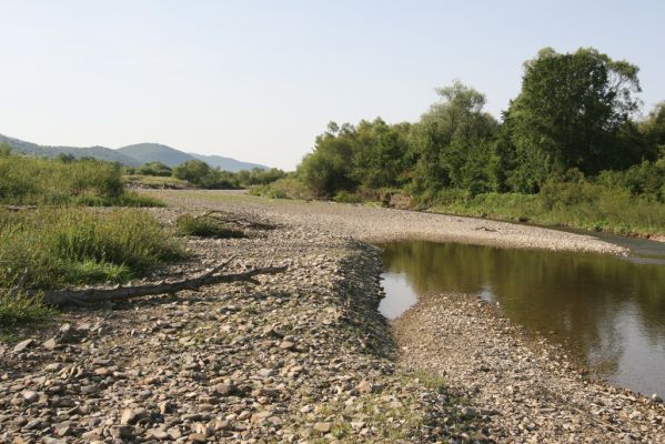 Volica, 5.7.2014
Meandry Laborce.



Klíčová slova: Volica řeka Laborec