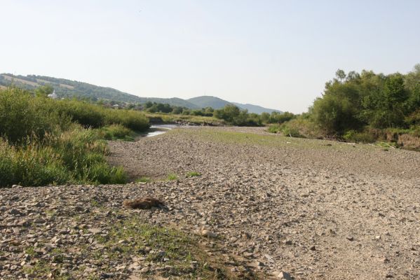 Volica, 5.7.2014
Meandry Laborce.



Klíčová slova: Volica řeka Laborec