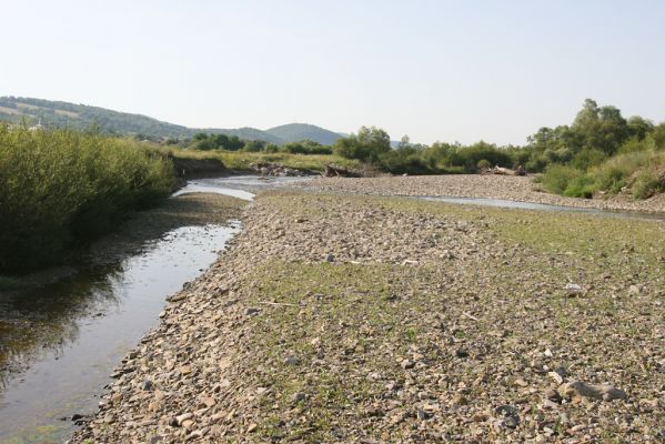 Volica, 5.7.2014
Meandry Laborce.
Klíčová slova: Volica řeka Laborec