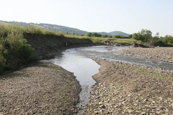 Volica, 5.7.2014
Meandry Laborce.



Klíčová slova: Volica řeka Laborec