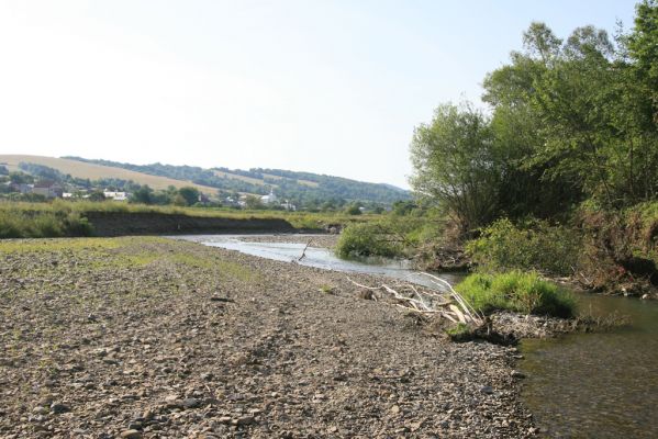 Volica, 5.7.2014
Meandry Laborce.



Klíčová slova: Volica řeka Laborec