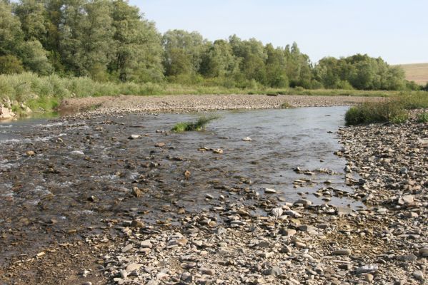 Volica, 5.7.2014
Meandry Laborce - brod.



Klíčová slova: Volica řeka Laborec