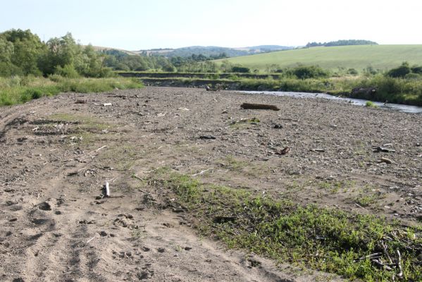 Volica, 5.7.2014
Meandry Laborce - biotop kovaříka Zorochros quadriguttatus.



Schlüsselwörter: Volica řeka Laborec Zorochros quadriguttatus