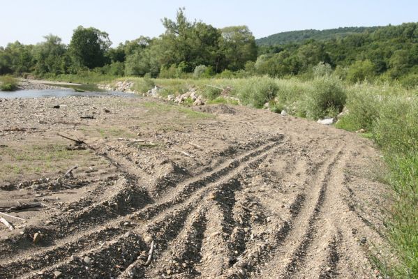 Volica, 5.7.2014
Meandry Laborce - všudypřítomný zájem o písčité náplavy.



Klíčová slova: Volica řeka Laborec Zorochros quadriguttatus