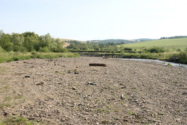 Volica, 5.7.2014
Meandry Laborce.



Klíčová slova: Volica řeka Laborec Zorochros quadriguttatus