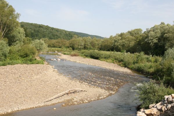 Volica, 5.7.2014
Řeka Laborec - zregulované meandry.



Klíčová slova: Volica řeka Laborec