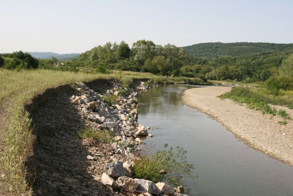 Volica, 5.7.2014
Meandry Laborce - pokus o zpevnění umělého břehu se nevydařil.
Schlüsselwörter: Meandry Volica řeka Laborec