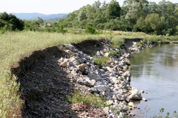 Volica, 5.7.2014
Meandry Laborce - pokus o zpevnění umělého břehu se nevydařil.



Mots-clés: Volica řeka Laborec