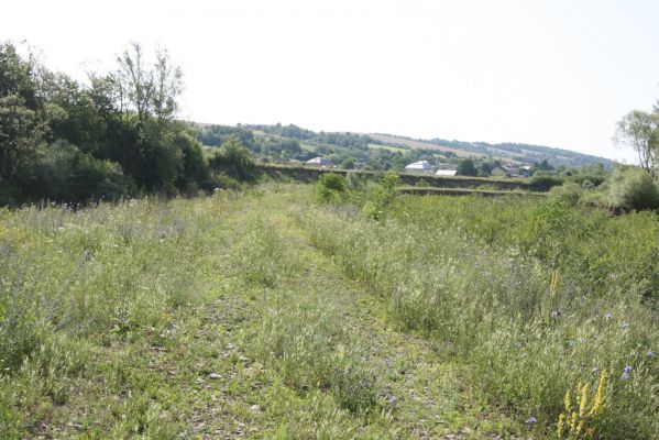 Volica, 5.7.2014
Zregulované meandry Laborce.



Klíčová slova: Volica řeka Laborec