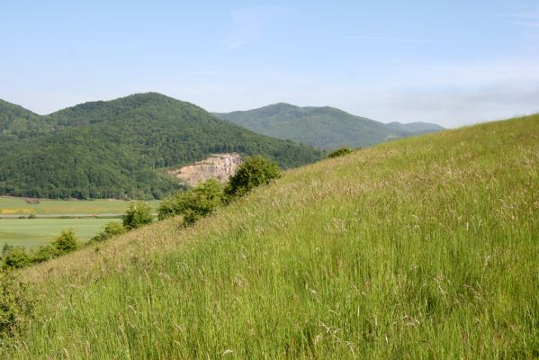 Voznica, 18.5.2015
Lesostepní formace nad obcí.



Schlüsselwörter: Voznica lesostep Melanotus punctolineatus