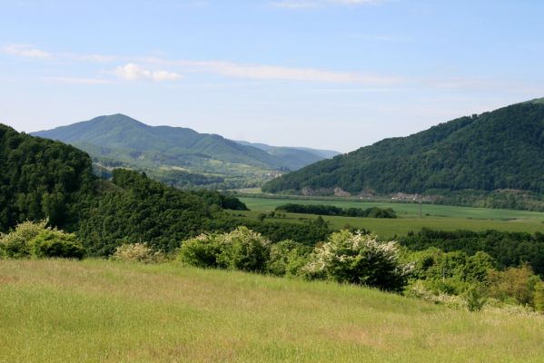 Voznica, 18.5.2015
Lesostepní formace nad obcí - pohled na Pohronský Inovec.



Klíčová slova: Voznica lesostep Melanotus punctolineatus