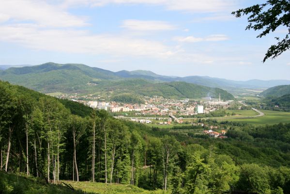 Štiavnické vrchy, Voznica env., 18.5.2015
Holoseč na východním hřbetu vrchu Ferencky - pohled na Žarnovici.
Klíčová slova: Štiavnické vrchy Voznica vrch Ferencky Žarnovica Brachygonus bouyoni