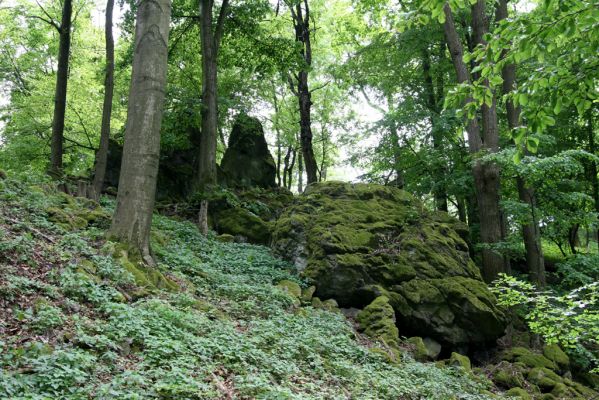 Štiavnické vrchy, Voznica env., 18.5.2015
Skalnatý zalesněný hřbet na západním úpatí Kojatína. 
Klíčová slova: Štiavnické vrchy Voznica vrch Kojatín
