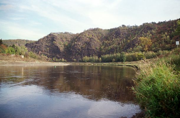 Vrané nad Vltavou, Homole, 19.10.2004
Skalnaté svahy a sutě na svazích Homole jsou biotopem kovaříka Anostirus gracilicollis a mnoha další druhů specializovaných na tento typ biotopu.
Klíčová slova: Vrané nad Vltavou Homole Anostirus gracilicollis, Cardiophorus erichsoni nigerrimus Quasimus minutissimus