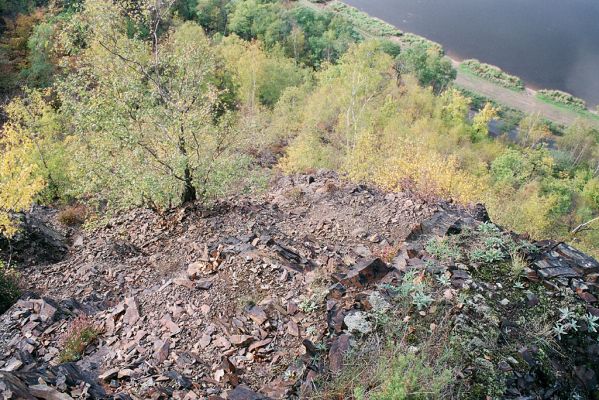 Vrané nad Vltavou, Homole, 19.10.2004
Suťové svahy nad Vltavou, porostlé sporou vegetací. Biotop kovaříka Anostirus gracilicollis a mnoha dalších druhů specializovaných na tento typ biotopu. 
Mots-clés: Vrané nad Vltavou Homole Anostirus gracilicollis, Cardiophorus erichsoni nigerrimus