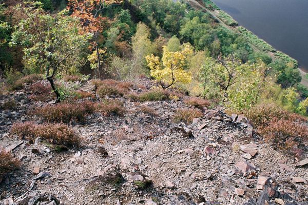 Vrané nad Vltavou, Homole, 19.10.2004
Suťové svahy nad Vltavou, porostlé sporou vegetací. Biotop kovaříka Anostirus gracilicollis a mnoha dalších druhů specializovaných na tento typ biotopu. 
Schlüsselwörter: Vrané nad Vltavou Homole Anostirus gracilicollis, Cardiophorus erichsoni nigerrimus