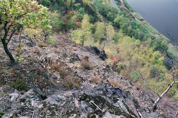 Vrané nad Vltavou, Homole, 19.10.2004
Suťové svahy nad Vltavou, porostlé sporou vegetací. Biotop kovaříka Anostirus gracilicollis a mnoha dalších druhů specializovaných na tento typ biotopu. 
Schlüsselwörter: Vrané nad Vltavou Homole Anostirus gracilicollis, Cardiophorus erichsoni nigerrimus